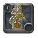 Summer tree