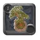 Small fruit tree