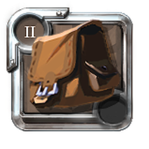 T2_BAG