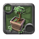 Chestnut Bonsai