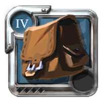 T4_BAG