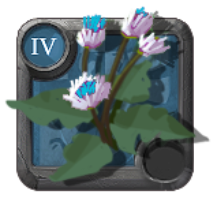 Crenellated Burdock [4.0]