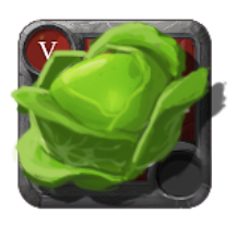 Cabbage [5.0]