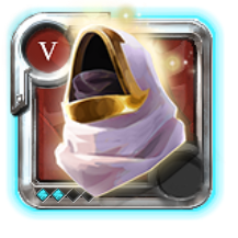 Expert's Hood of Tenacity