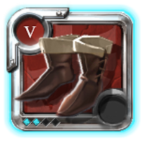 Expert's Assassin Shoes