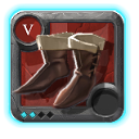 Expert's Assassin Shoes