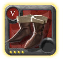 Expert's Assassin Shoes