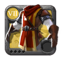 Veste royale du grand maître