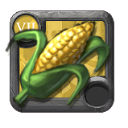 Bundle of Corn