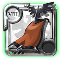 T8_CAPEITEM_MORGANA@1