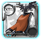 Elder's Morgana Cape