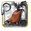 Elder's Morgana Cape