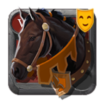 Riding Horse Skin: Sixth-Year Stallion