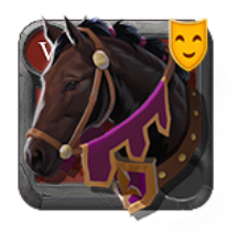 Riding Horse Skin: Seventh-Year Stallion