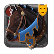 Riding Horse Skin: Eighth-Year Stallion