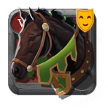 Riding Horse Skin: Ninth-Year Stallion