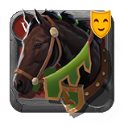 Riding Horse Skin: Ninth-Year Stallion